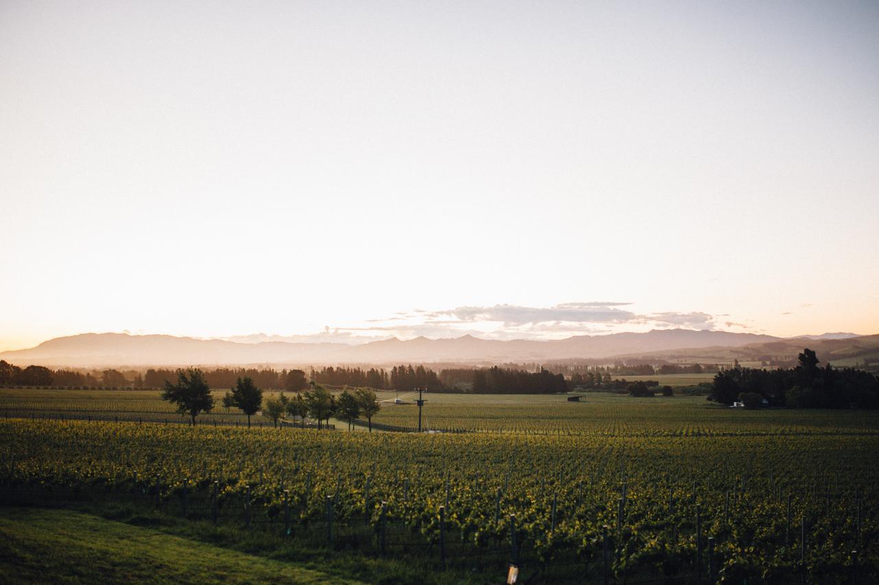 Black Estate B & B Waipara Exteriör bild